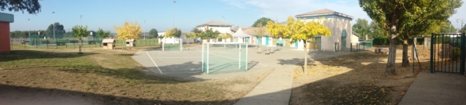 la Cour