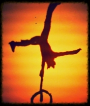 L.G Circus